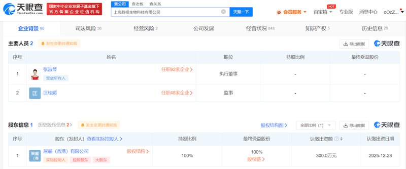 创意营销公司的崛起：让品牌在竞争中脱颖而出